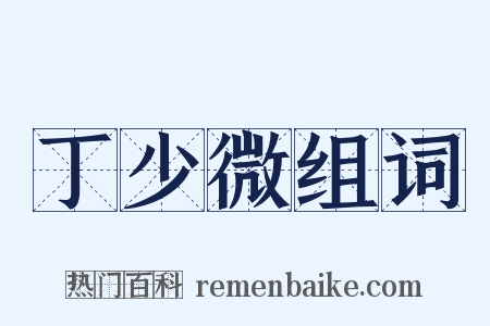 丁少微组词是什么意思的图片